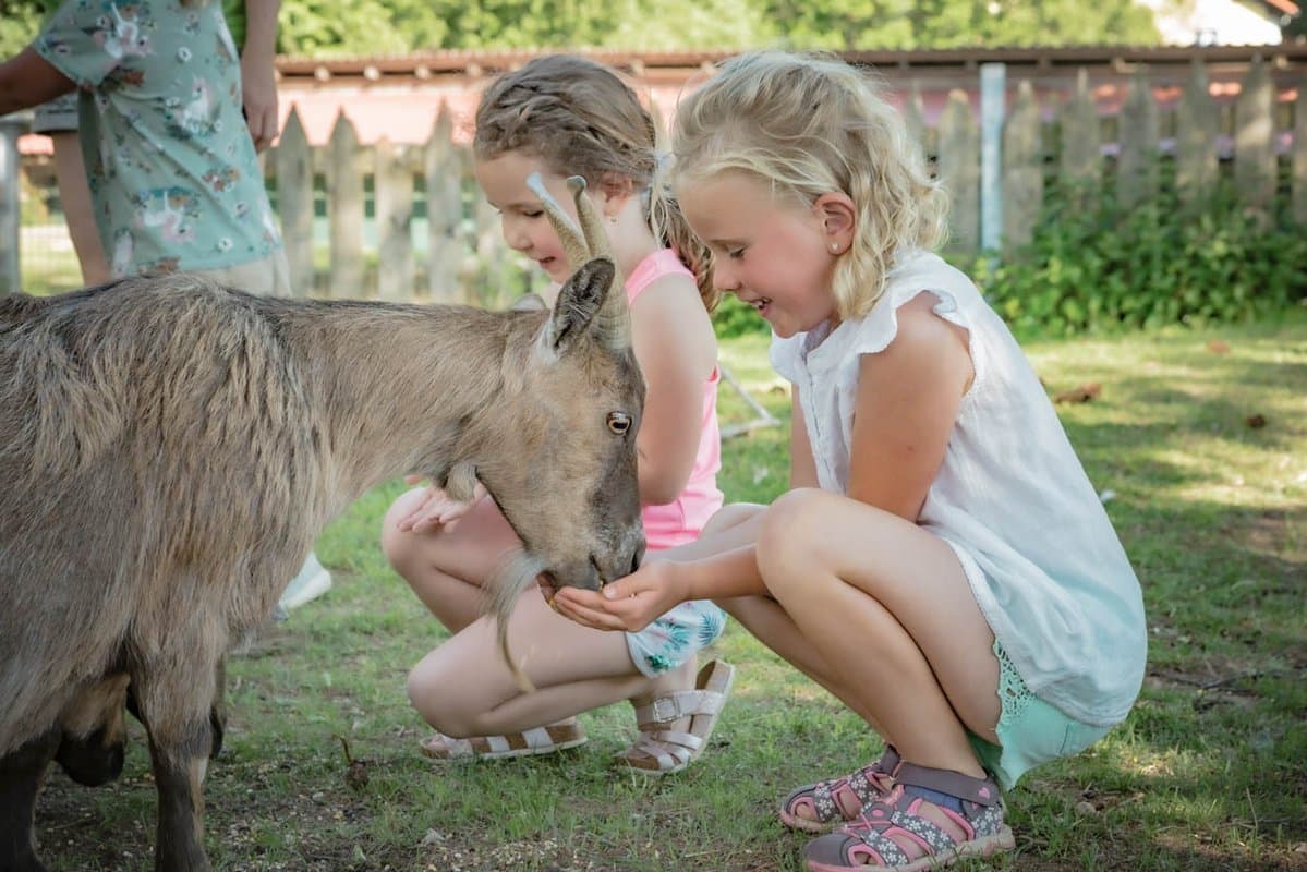 Streichelzoo Zwei junge Mädchen hocken im Gras und füttern eine Ziege in einer sonnigen Umgebung im Freien, mit einem Holzzaun und Bäumen im Hintergrund.