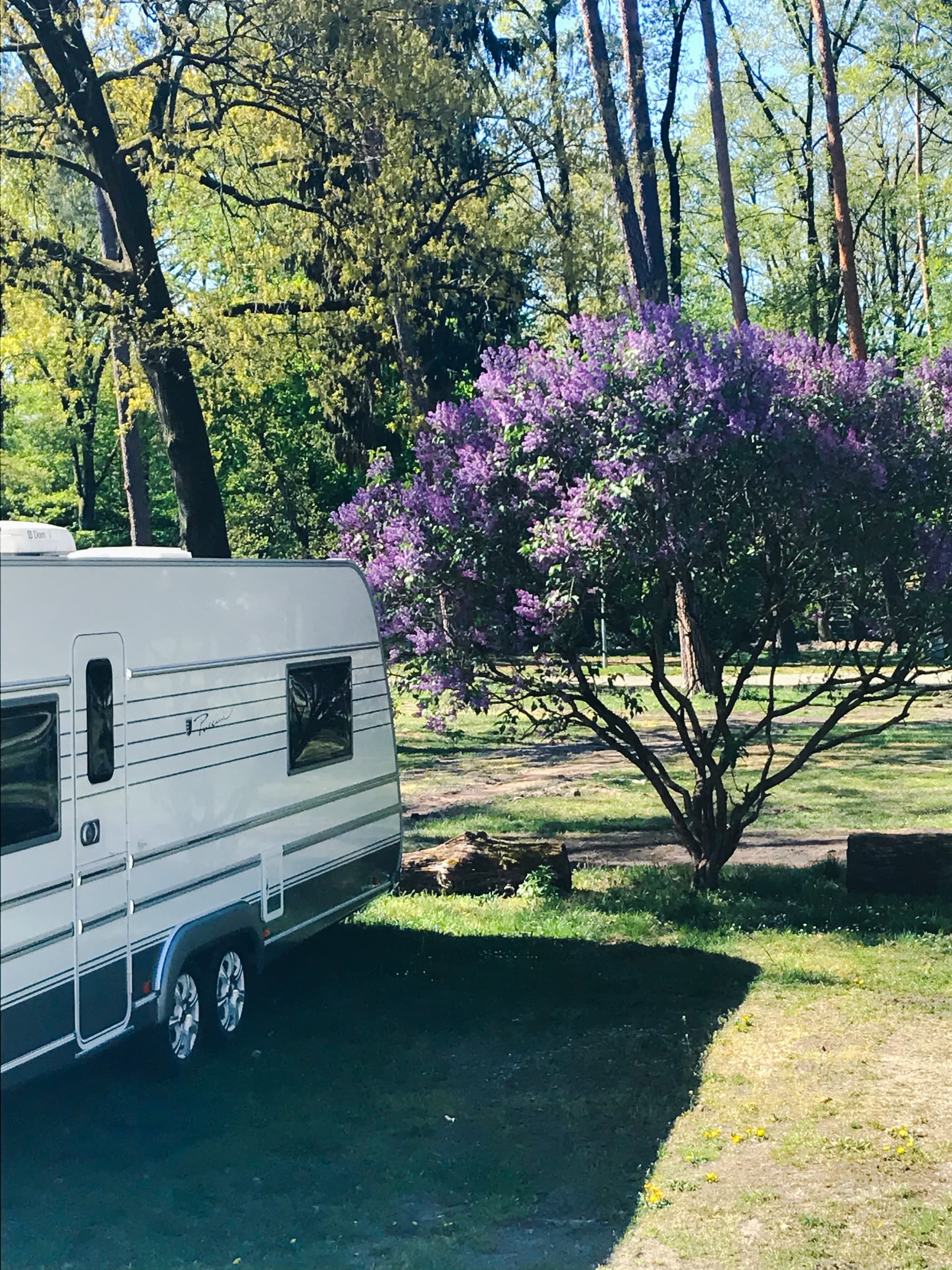 Stellplätze Galleriebild