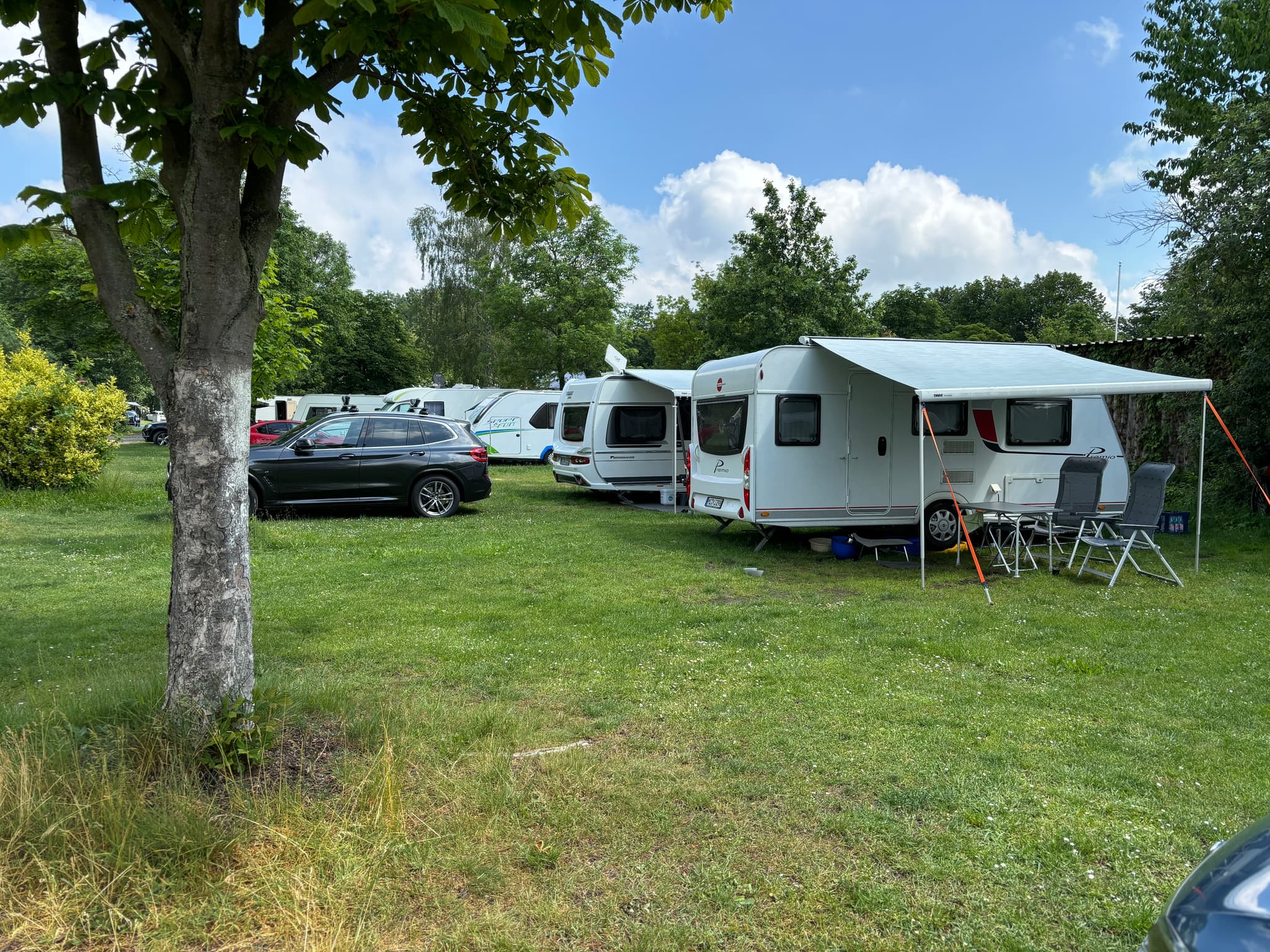 Stellplätze Auf einem grasbewachsenen Campingplatz geparkte Wohnwagen mit einem Baum im Vordergrund und einem klaren blauen Himmel darüber.