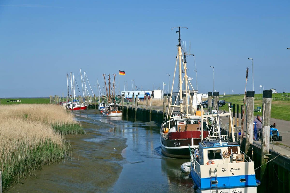 Hafen mit Kuttern und Freizeitbooten Galleriebild