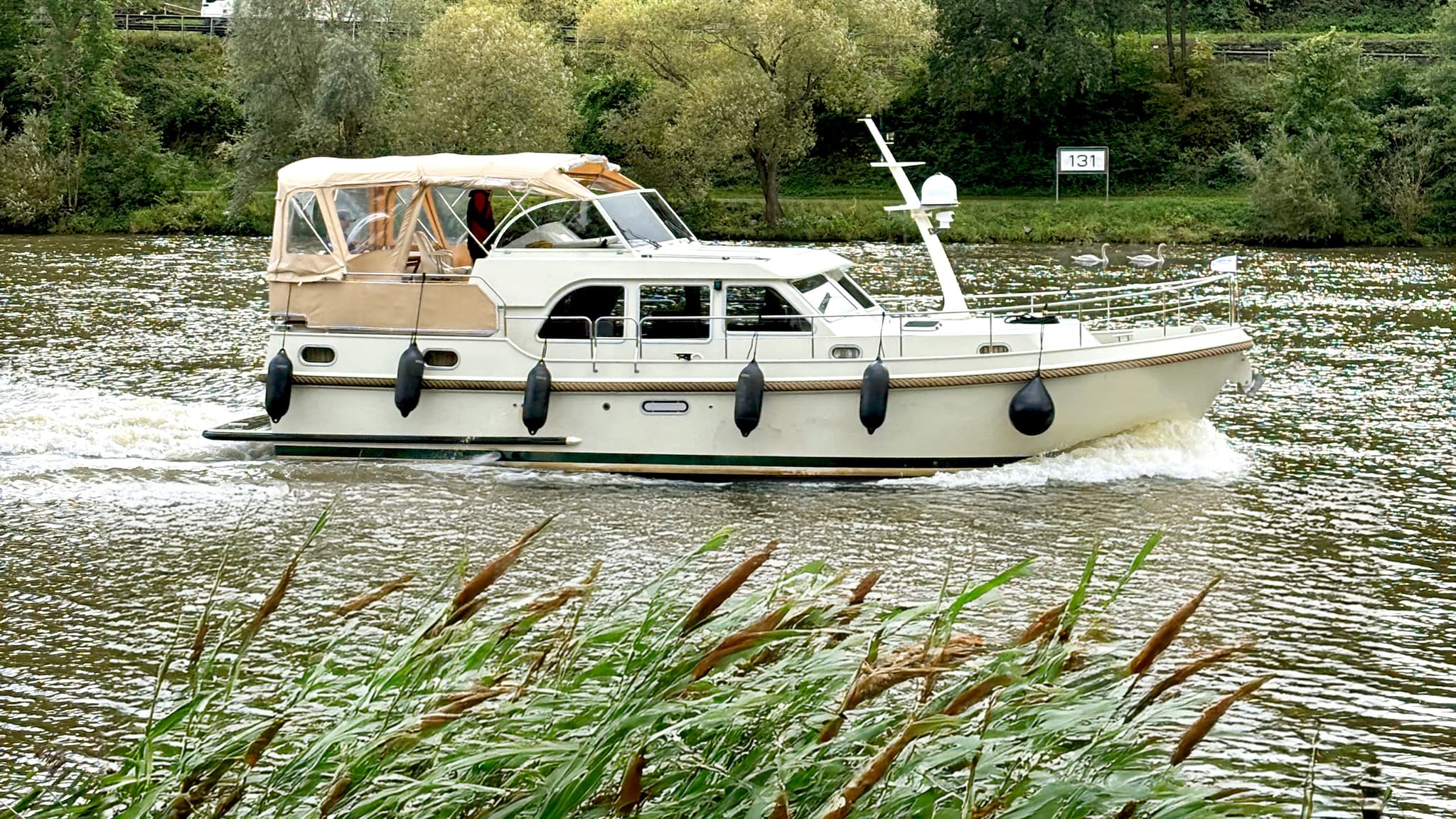 Mosel Ein weißes Motorboot mit beigem Verdeck fährt auf einem Fluss, umgeben von Grünzeug und Schilf im Vordergrund.