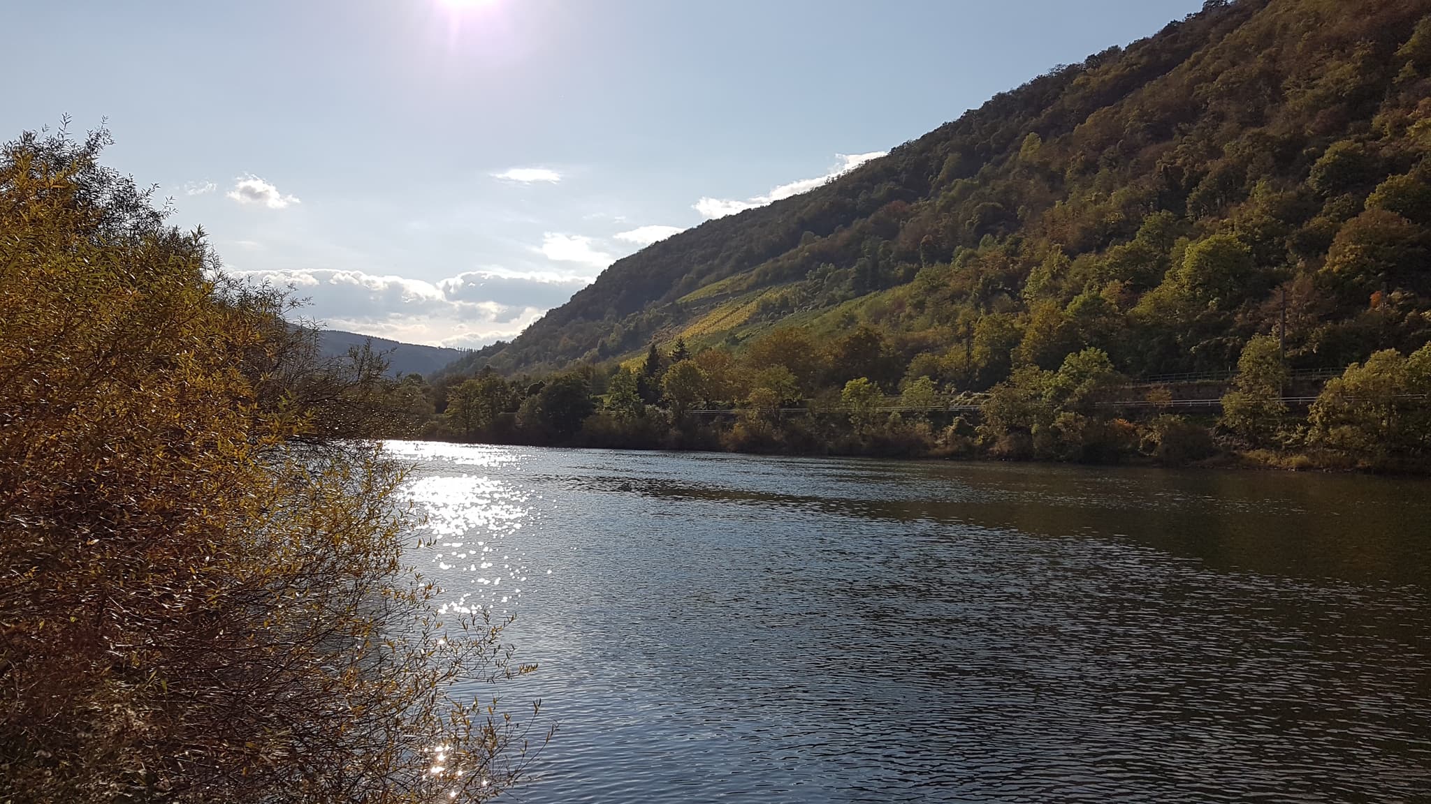 Erholung an der Mosel Galleriebild