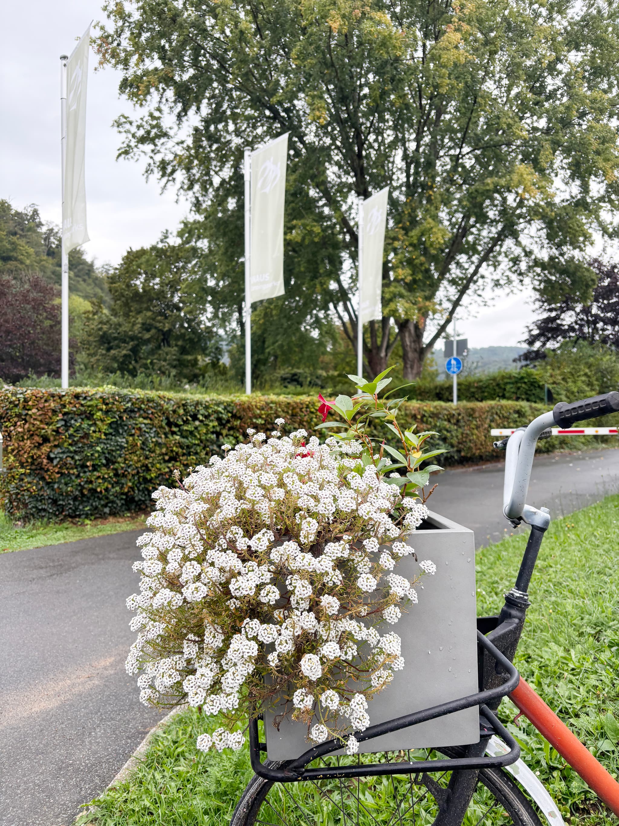 Einfahrt Galleriebild