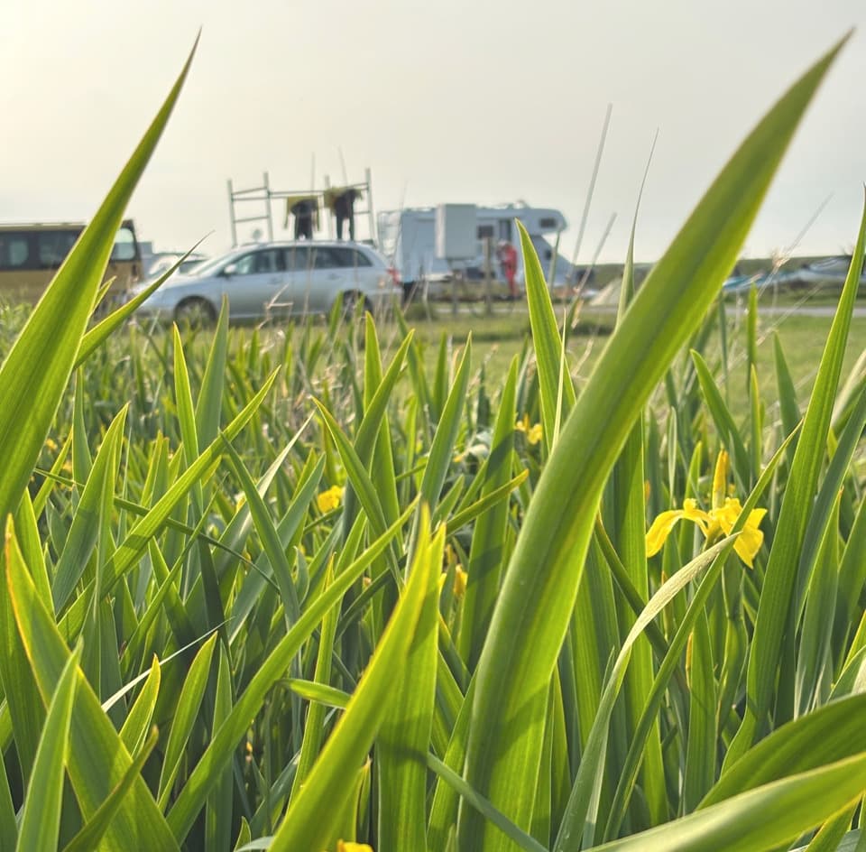 Natur rundherum Galleriebild
