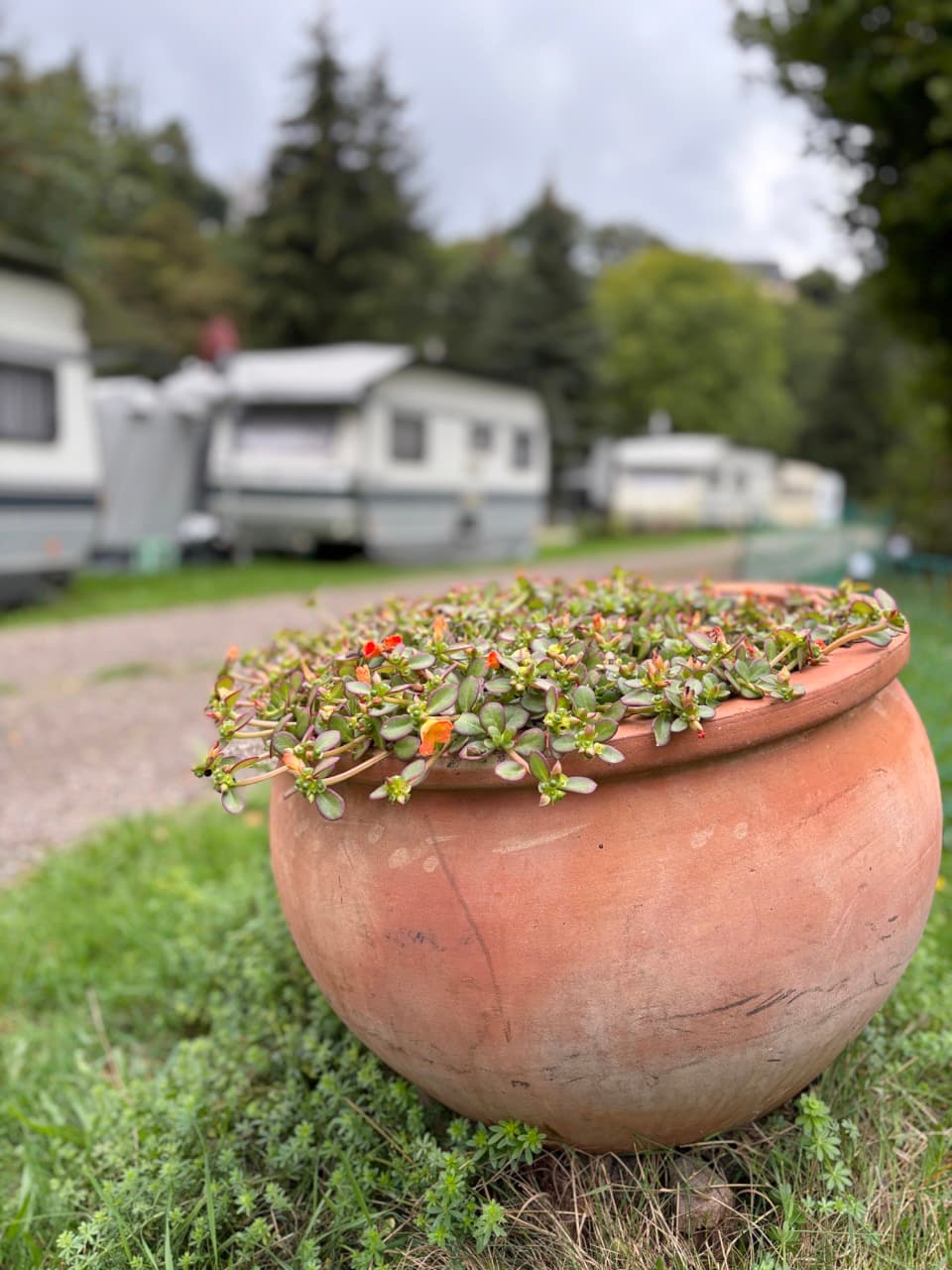 Dekoliebe Galleriebild